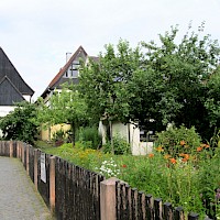 Weg zur Wassermühle Höfgen